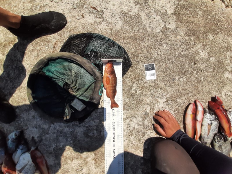 Fish Measure Picture